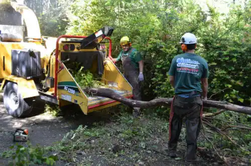 tree services Smith Center